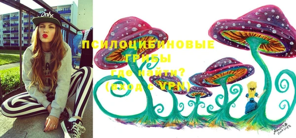 таблы Белокуриха