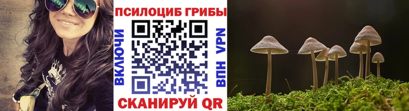 Галлюциногенные грибы Psilocybine cubensis  закладки  Монино 